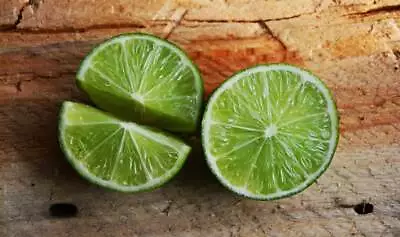 Green Lime 10 Seeds Spice Leaves Fragrant Freshly Harvested Citrus AURANTIFOLIA • £4.96