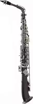 Dakota Straight Body Alto Saxophone SDAS-1020 • $4599