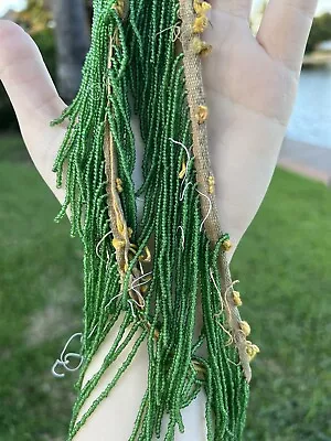 Antique Vintage 60gram Seed Beads Transparent Greasy Green FRINGE! • $14