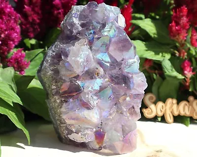Large Amethyst Aura Cut Base | Metaphysical Shop | Purple Rocks | #1 • $111.11