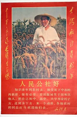 CHINESE CULTURAL REVOLUTION POSTER 60's VINTAGE - US SELLER - Mao & Communes • $12.50