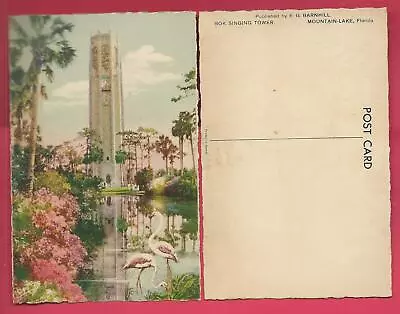 E.G. Barnhill 1930's FL BOK Singing Tower Mountain Lake NOS Postcard Saxony Mint • $0.99