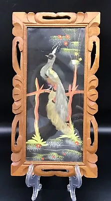 Vtg Mexican Feathercraft Framed Peacock Folk Art Collectible Piece Feathers 13” • $28.95