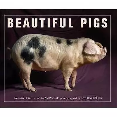 Beautiful Pigs - Paperback By Case Andy - ACCEPTABLE • $7.77