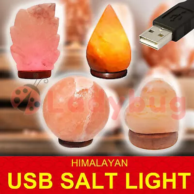 USB Himalayan Pink Rock Salt Lamp | Carved Shape Rocks Light Bulb Decor Lamps • $20.85