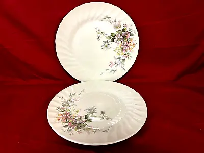 Myott Meakin Straffordshire Floral Swirl Set Of 2 Dinner Plates 10  England • $37.95