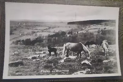 Devon  - PONIES ON DARTMOOR  RPPC 1950s Kenneth E Ruth 1598 • £1