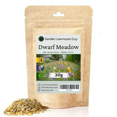 Dwarf Meadow Low Growing Wildflowers • £12.99