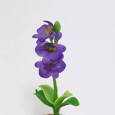 Purple Phalaenopsis Orchid Flower Miniature Plant Handmade Clay Dollhouse  • $1.95