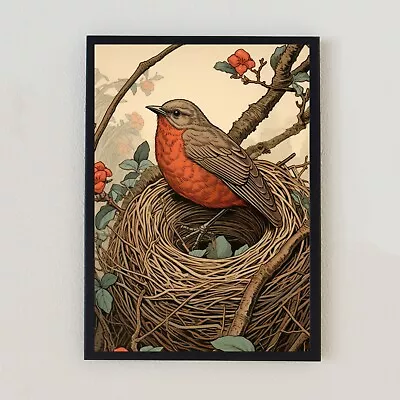 Robin Vintage Bird Illustration Botanical Retro Home Decor 7x5 Wall Art Print • $6.15