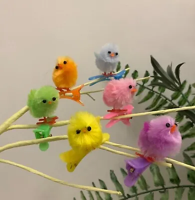 6 X Mini Multi Coloured Chick Clip On Easter Decorations Fluffy Gisela Graham  • £4.89