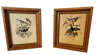 Set Of 2 Vintage Framed Bird Prints - 6.5  X 7.5  Solid Wood Frames 1940's • $40