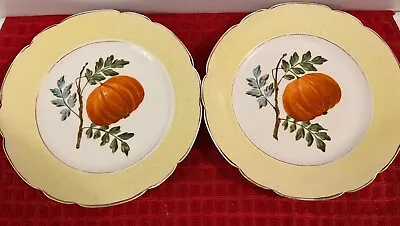 Vintage Pastel Yellow Border Hand Painted Plates • $22.99