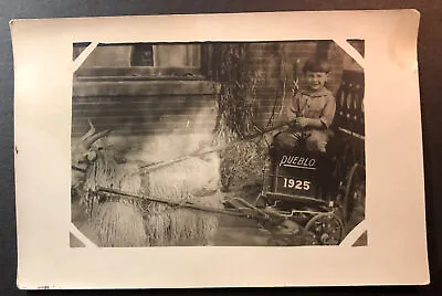 Goat Cart Boy Reins Pueblo Colorado 1925 Photo • $16.90