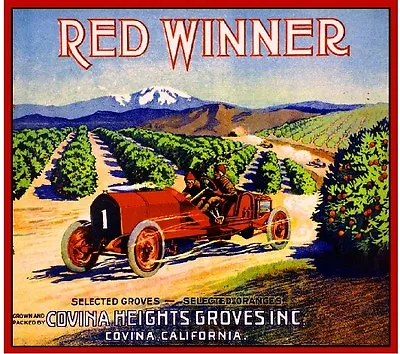 Covina Red Winner Race Car Orange Citrus Fruit Crate Label Vintage Art Print • $11.19