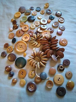 100 + Vintage Vegetable Ivory Buttons Free US Shipping. • $14