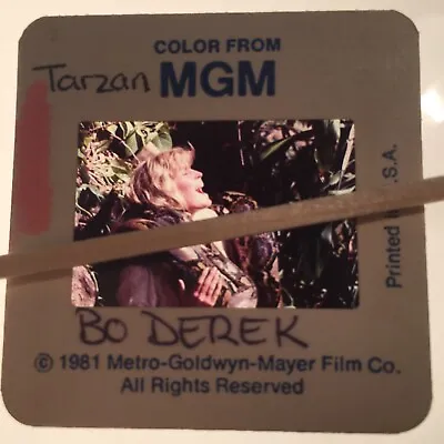 BO DEREK   35mm Transparency Slide. TARZAN. • $8