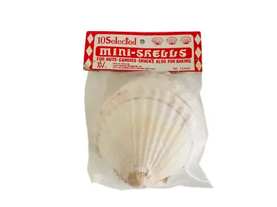 10Pc Sea Shells White Scallop Shells For Crafts Baking Cooking Serving Food NIP • $12.95