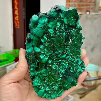 496G Natural Malachite Slice Quartz Crystal Luster Mineral Specimen • $11.49