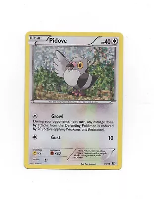 Pokémon TCG Pidove Mcdonalds Promos 11/12 Holo Promo 2011 Promo • $0.99