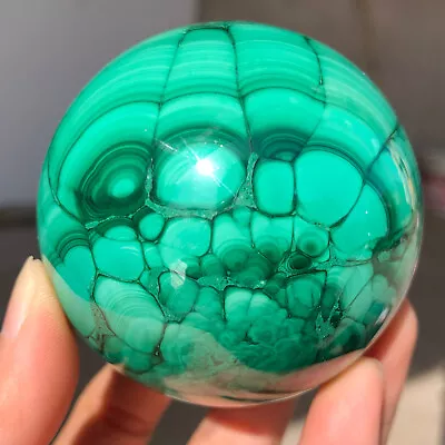 1.2LB Top Natural Malachite Quartz Crystal Sphere Gemstone Reiki Healing P616 • $0.99