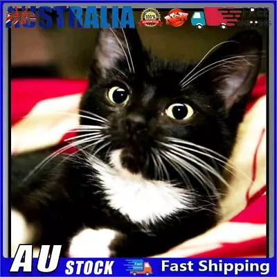 AU Diamond Painting Long Whisker Black Cat Full Round Mosaic Picture Kit 30x30cm • $9.69