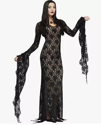 Miss Darkness - Elvira - Morticia - Costume - Adult - 2 Sizes • $79.99