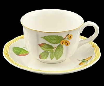 Villeroy & Boch Parkland  Cup & Saucer Fine China  Made In Germany# 1748 EUC • $22.95