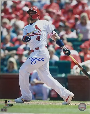 Yadier Molina Signed St Louis Cardinals 11x14 Photo Mlb Hologram Jd283323 • $75
