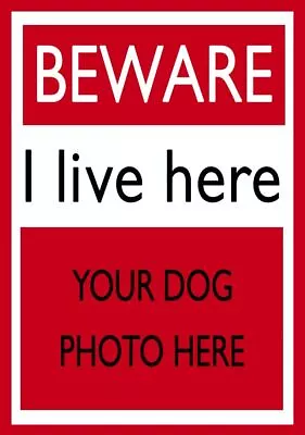 Beware I Live Here Dog Metal Sign Fence Gate Wall Delivery Personalised Image • £6.99