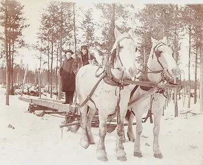 Vintage C. 1900 Logging Camp Horse Drawn Sled Photograph • $29