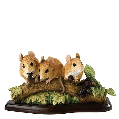 £39.95 • Buy Border Fine Arts Studio - Mammals - Family Outing - Mouse A27056