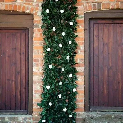 Decorative White Bloom Trellis Expandable Garden Fence Wall Trellis 180 X 60cm • £26.88