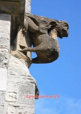 £1.70 • Buy Photo  St Peters Church High St Dorchester This Gargoyle Carved From Golden Hams