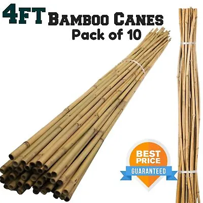 10 X 4FT Heavy Duty Bamboo Canes Garden Thick Quality Strong Plant Support Poles • £7.90