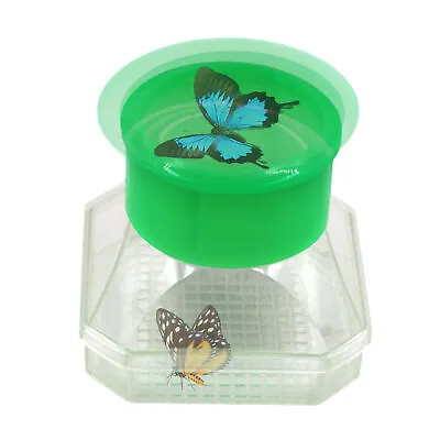 Magnify Insect Box Viewer For Kids Children Science Nature Exploration Tool • £9.19