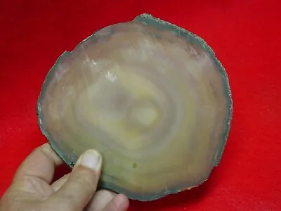 Huge Agate Geode Mineral Gem 878 Cts Wow! Classic Natural Crystal Large Slab • $18