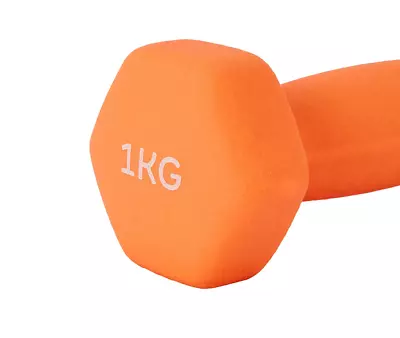 DUMBBELL Anti Slip Home Gym Exercise Rubber Hex Fitness Exercise Yoga Strength  • $21.85