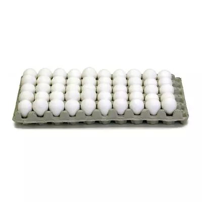 0205 - Quail Egg Trays Cardboard Cartons (Pkg. 15) • $54.99