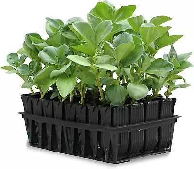 50-9000 Haxnicks Rootrainers Seed And Cutting Propagation Kit - Deep • $39.36