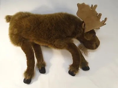 Large 25  Ditz Designs The Hen House Realistic Stuffed Moose Excellent • $29.95