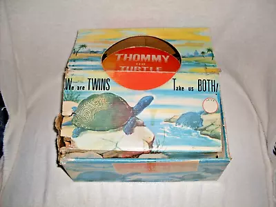 Rare Vintage 12 Lot Store Display Box Thommy The Turtle Hong Kong Rubber Toys! • $44.99