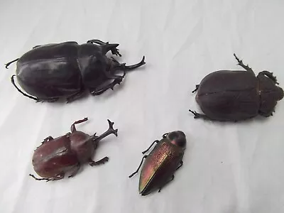 Vtg Lot 4 Large Beetle Insects 4.5in 3in 3in 2.5in EXCELLENT • $21.97