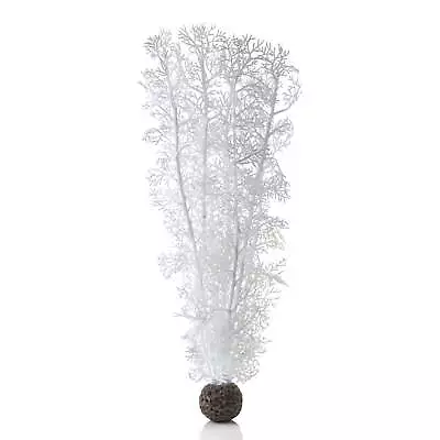 Large White Sea Fan • $20.90