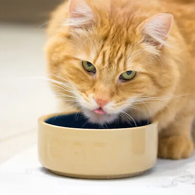 Set Of 2 Non Tip Heavy Duty Ceramic Cat Kitten Bowls Food Biscuit Water Pet Dish • £16