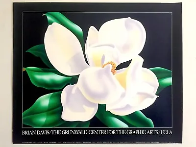 Brian Davis Rare Vintage 1982 Collotype Print Ucla Exhibition Poster  Magnolia  • $540