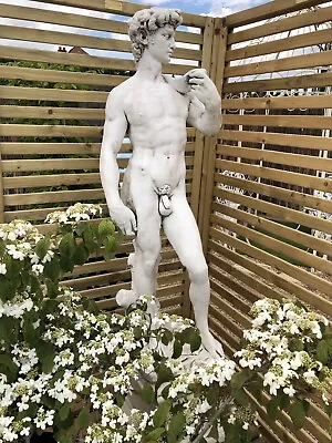 Michelangelo David Sculpture In Stone David Garden Figure Male Nude Statue • £159