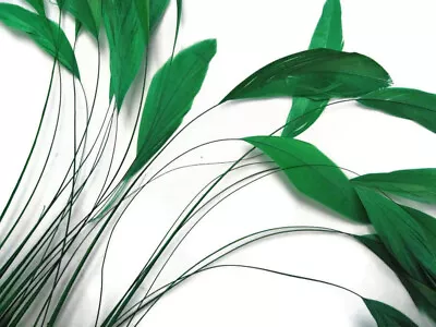 Green Stripped Coque Feathers Eyelash Trim 15 Pcs 6-8  Hat Millinery Fascinator  • $7.99