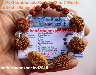 Lab Certified Rudraksha 2 3 4 5 6 7 Mukhi (Face) Beads Mala Wrist Band Bracelet • $16.90