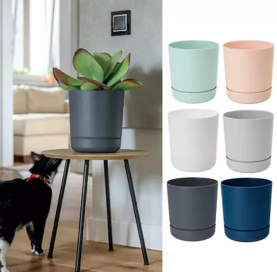 Satina Plant Pots With Saucers Flowerpot Garden Flower Planters Indoor Tray • £6.50